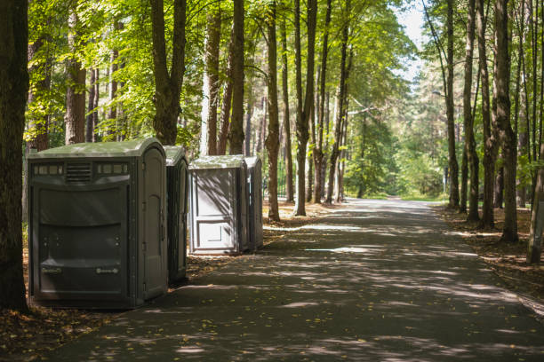 Best Local porta potty services  in Pana, IL